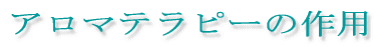 �A���}�e���s�[�̍�p